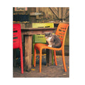 Cat on Colorful Chairs Puzzle | 120 252 500-Piece