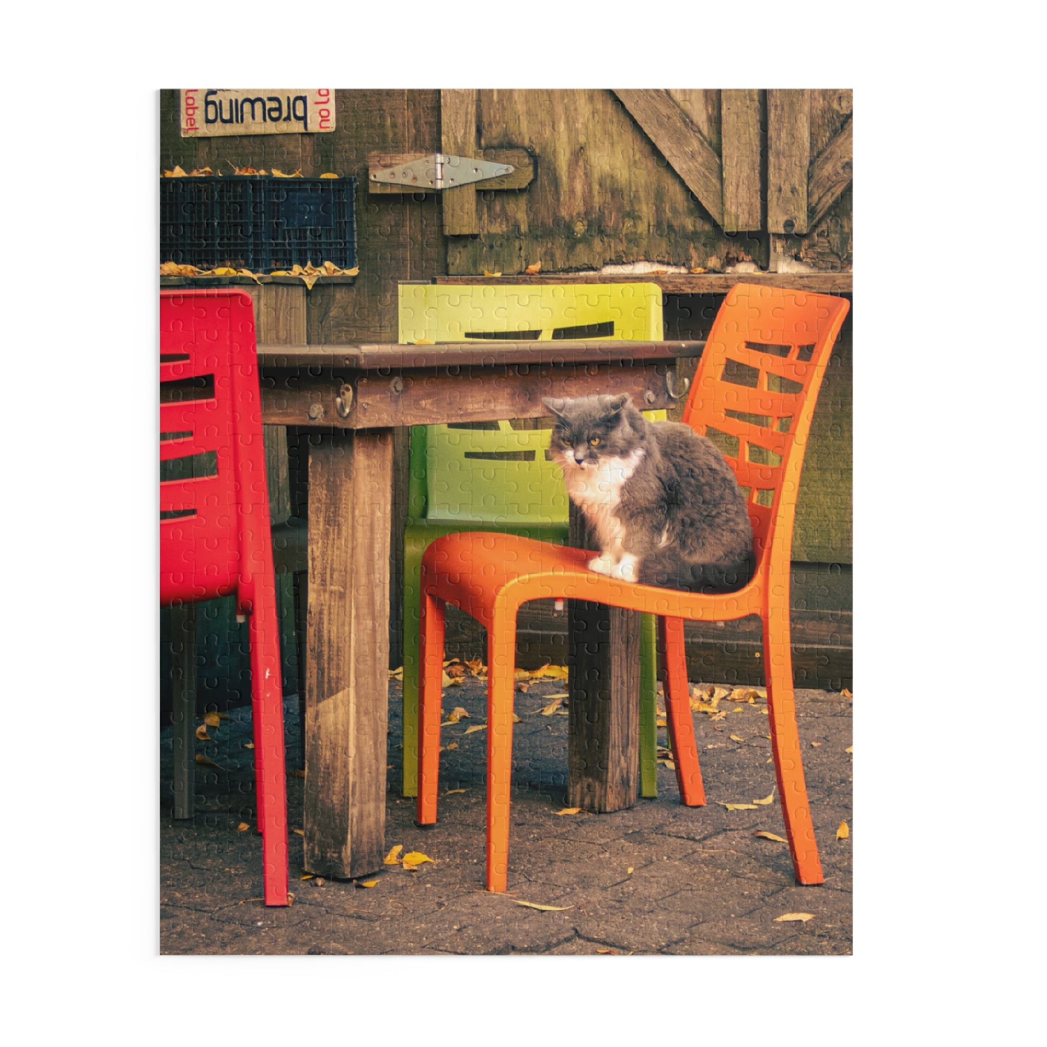 Cat on Colorful Chairs Puzzle | 120 252 500-Piece